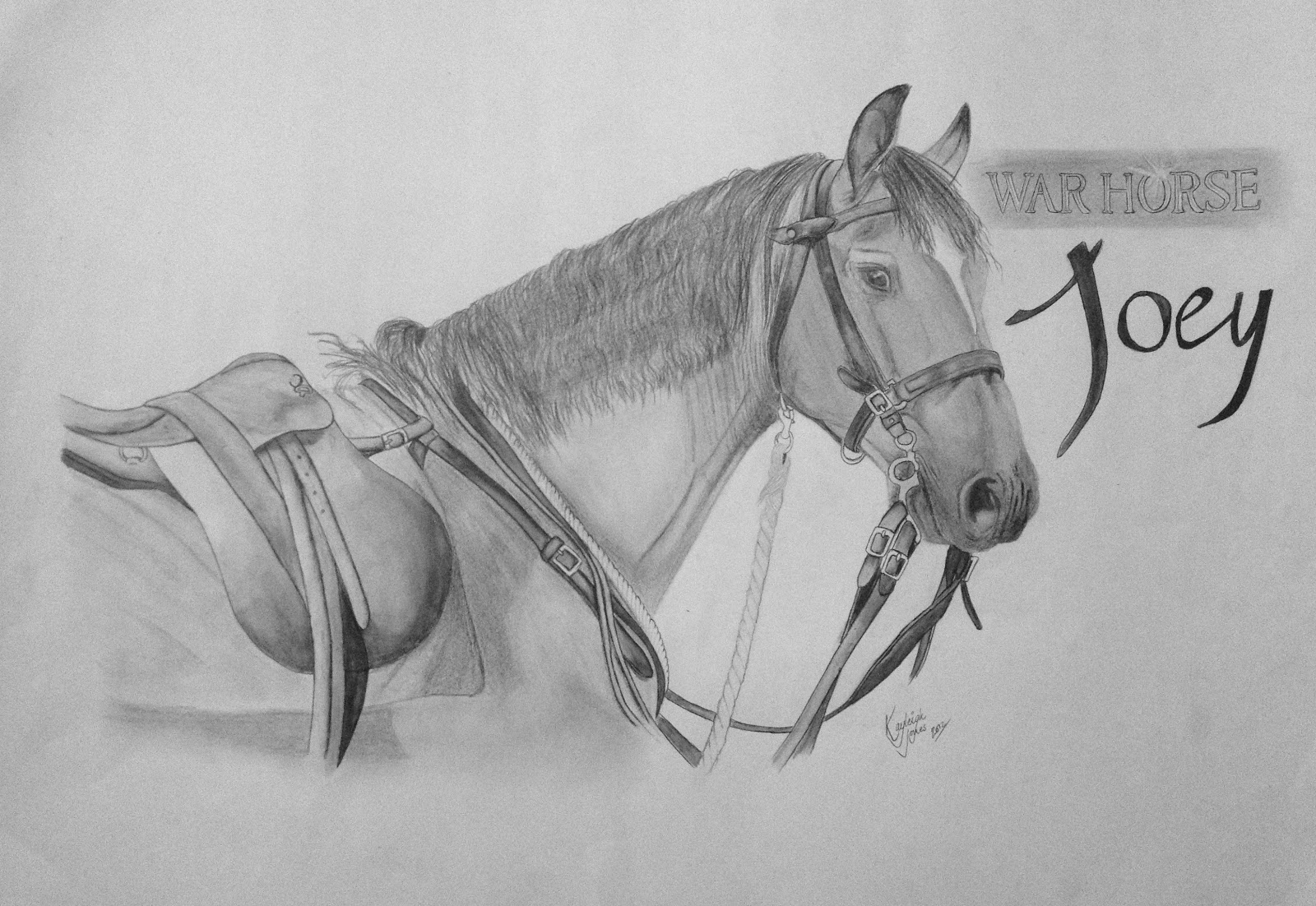1600x1102 miss portraitiste joey the war horse - War Horse Drawing