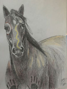 225x300 Native American War Horse Drawing Painting Pencil On Paper - War Horse Drawing