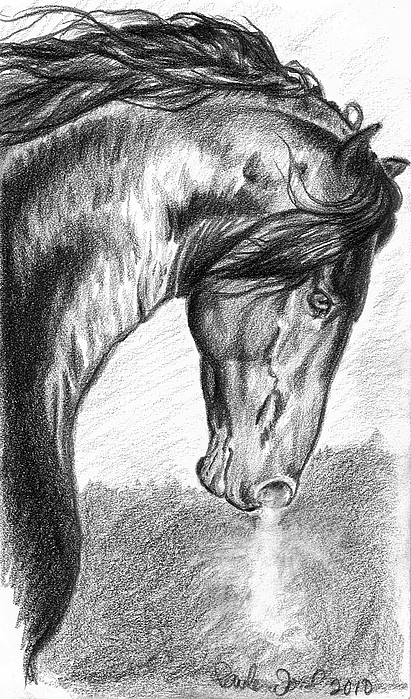 411x699 War Horse Drawing - War Horse Drawing
