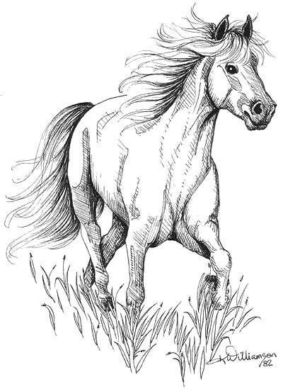 400x549 Native American War Horse Drawings Quick Ink Sketch Of A Horse - War Horse Drawing