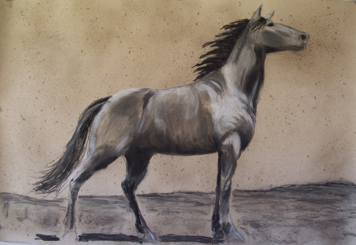 1200x826 drawing king philip - War Horse Drawing