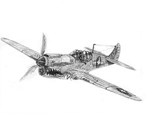 300x229 P War Hawk Drawing - War Plane Drawing