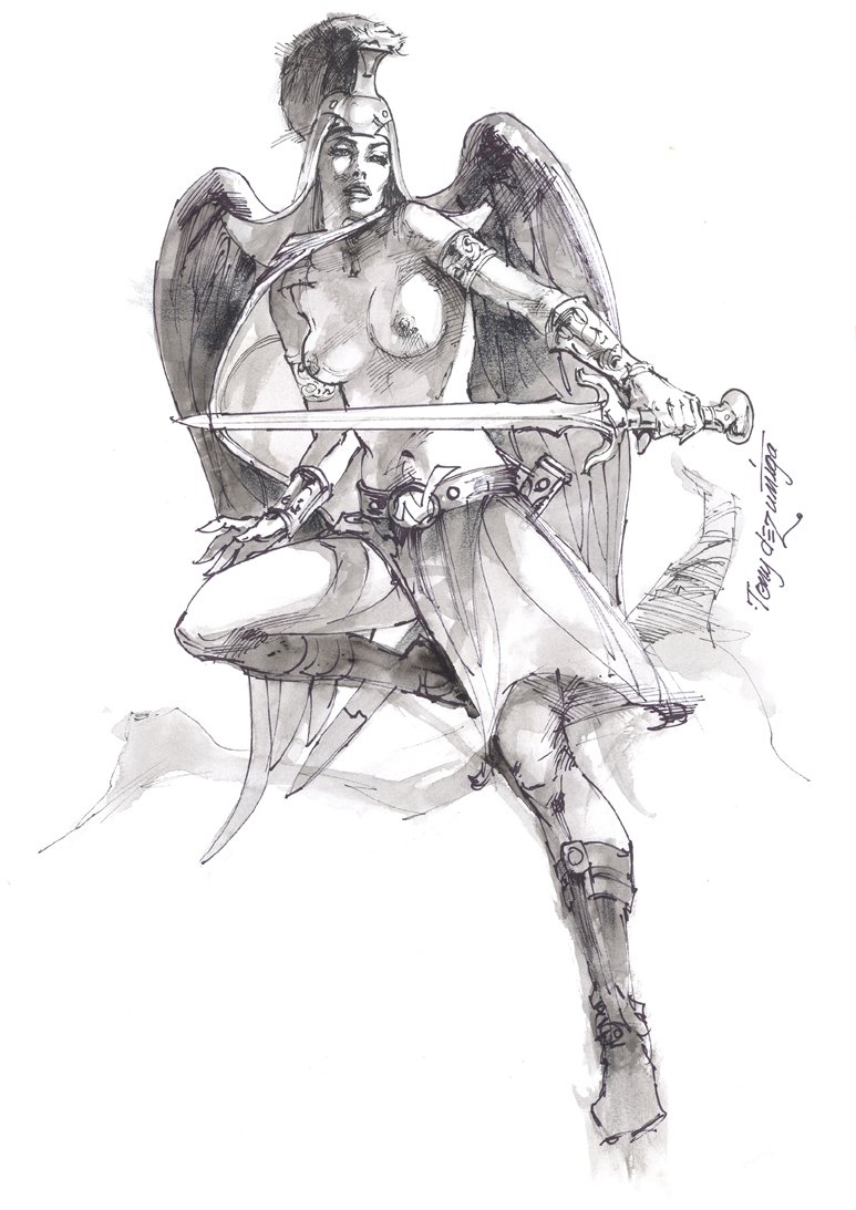 773x1093 Warrior Angel - Warrior Angel Drawing