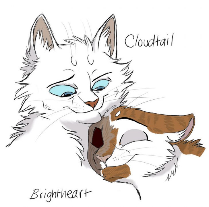 How To Draw Warrior Cats Easy