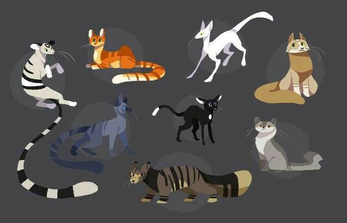 680x437 warriors warrior cats, warrior cats series - Warrior Cat Drawing Ideas