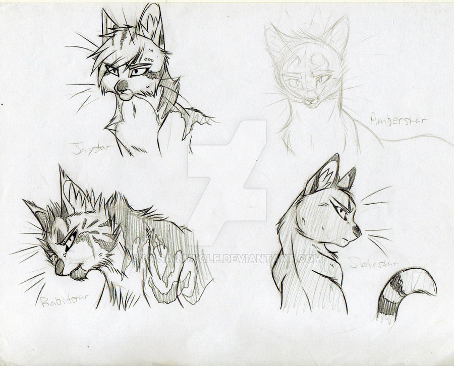 900x726 Warrior Cats Leaders - Warrior Cat Drawing Ideas