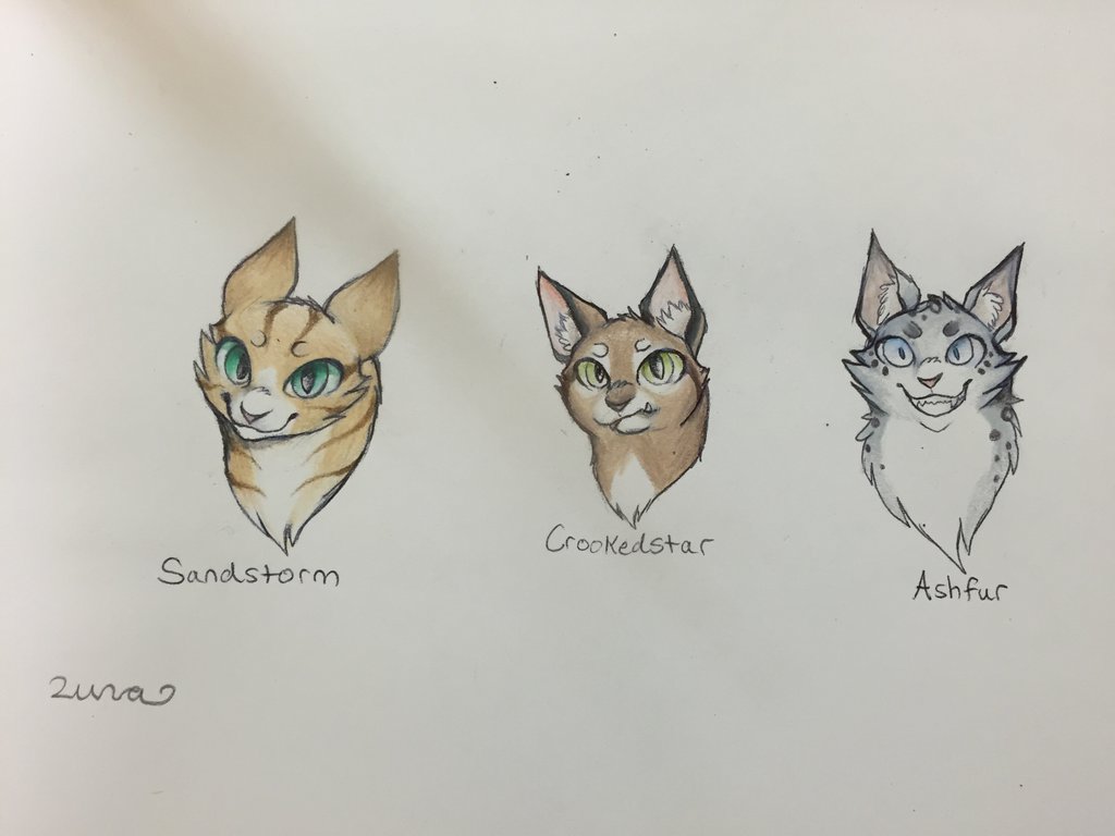 How To Draw Warrior Cats For Beginners - Warrior Cat Drawings. 