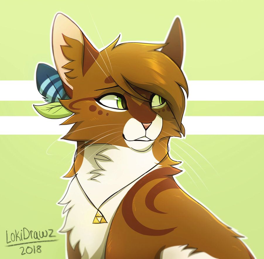 902x885 Melo Fanart - Warrior Cat Drawings