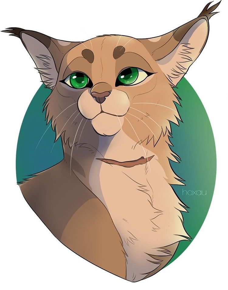 750x952 Purespiritflower, My Mentor Cat Things - Warrior Cat Drawings