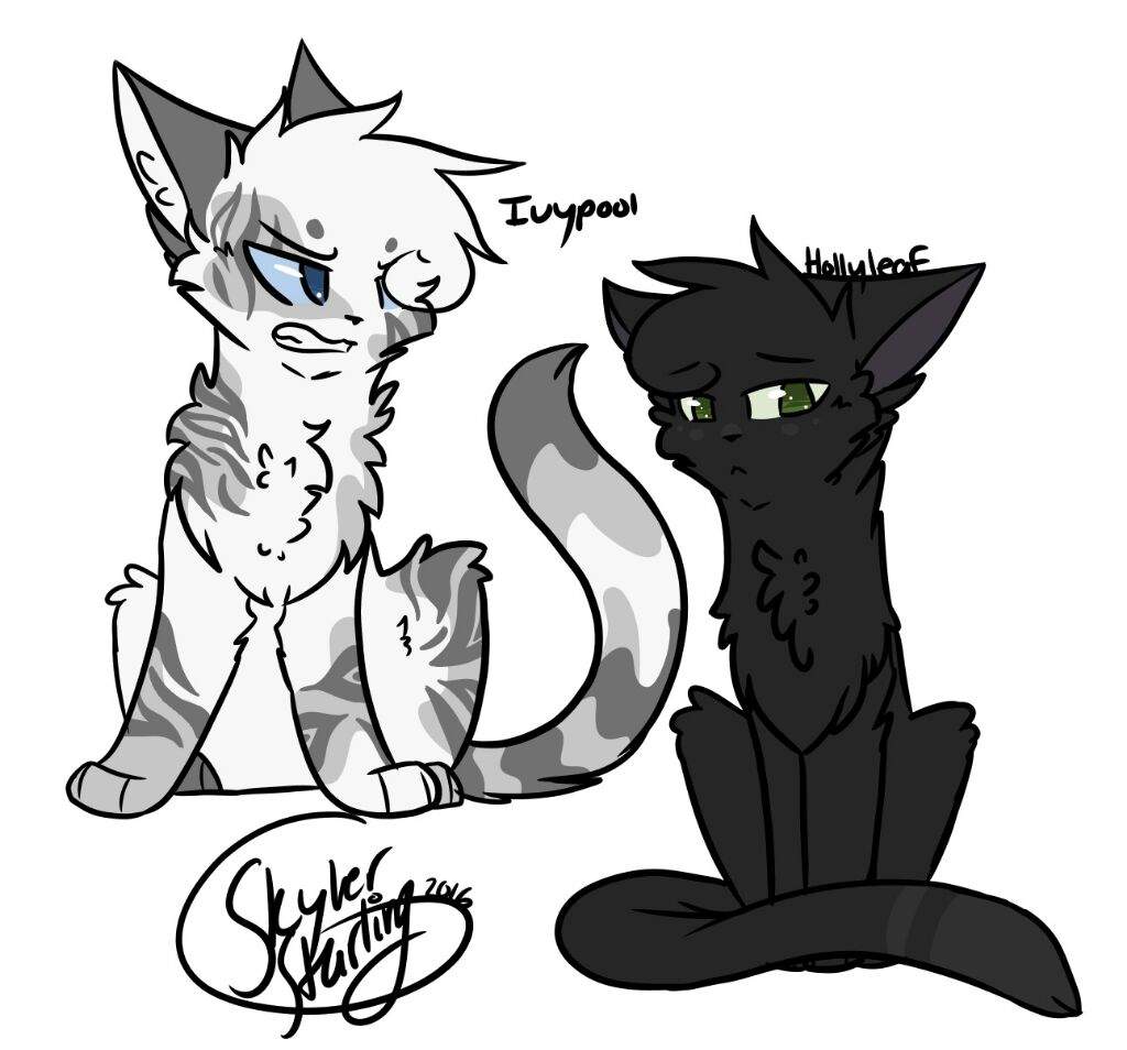 1024x954 What Characters Should I Draw Warriors Amino - Warrior Cat Drawings