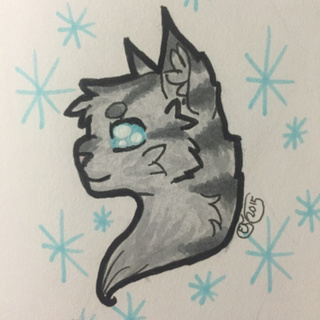 320x320 A Drawing Of Jayfeather From Warrior Cats - Warrior Cat Drawings