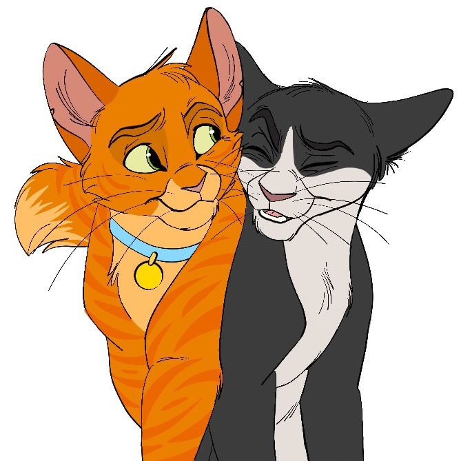 669x669 aw jake and tallstar aka talltail warrior cats warrior cats - Warrior Cat Drawings