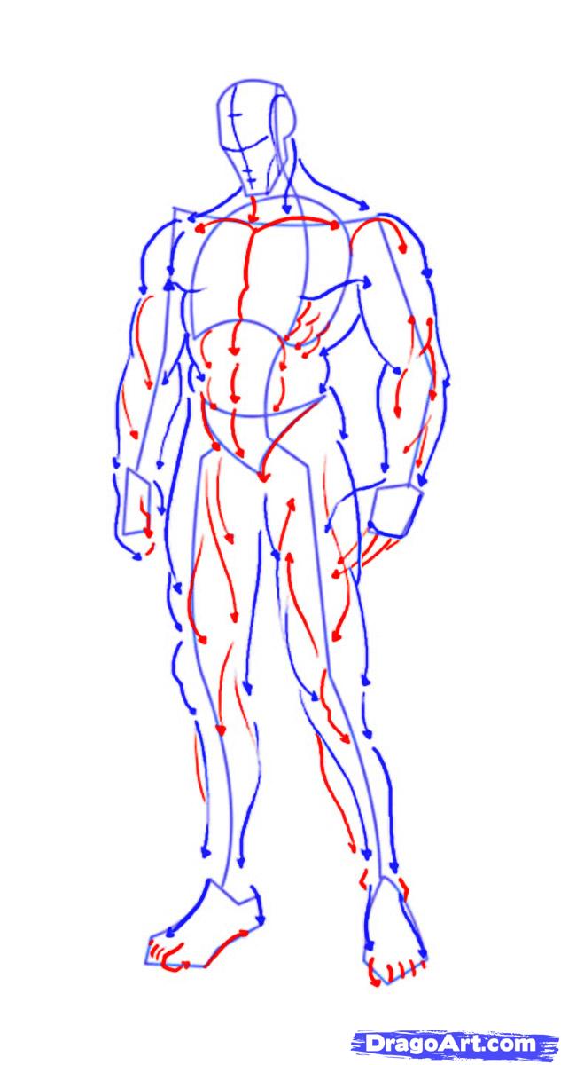 633x1200 Draw A Warrior, Step - Warrior Drawing