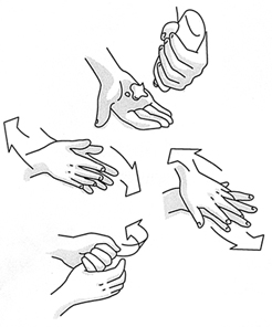 246x296 facts about hand hygiene - Washing Hands Drawing