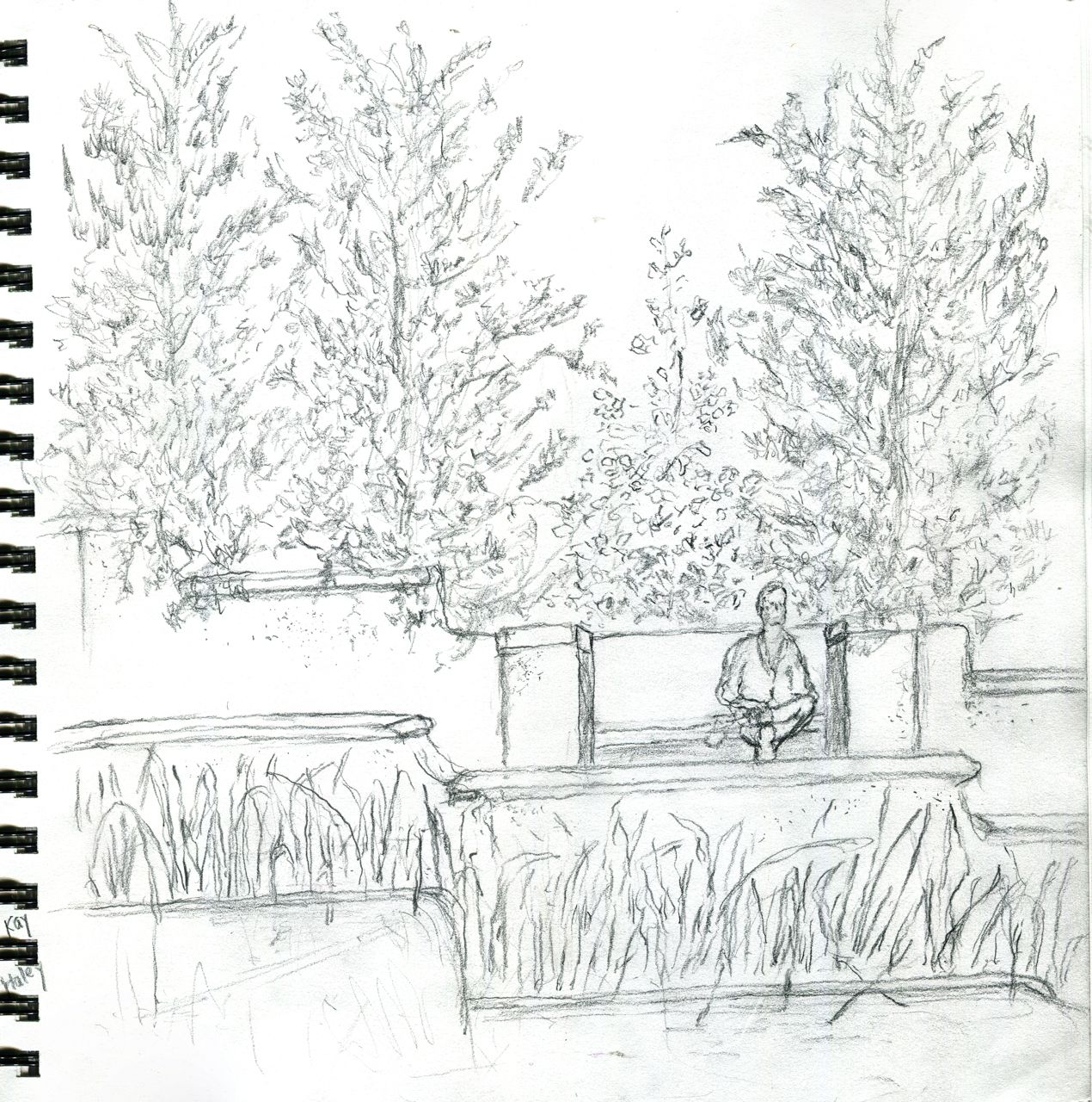 1270x1280 Photos - Washington Dc Drawing