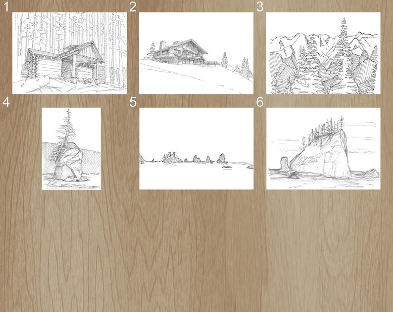 794x631 Olympic National Park Pen And Ink Art Prints Drawing Etsy - Washington State Drawing