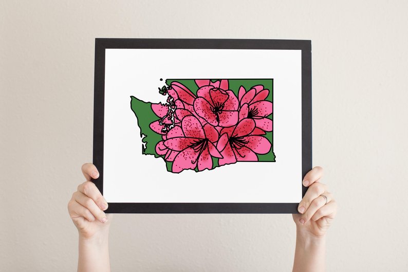 794x529 Washington State Flower Printable Instant Download Etsy - Washington State Drawing