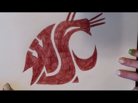 480x360 Washington State University Logo Drawing - Washington State Drawing