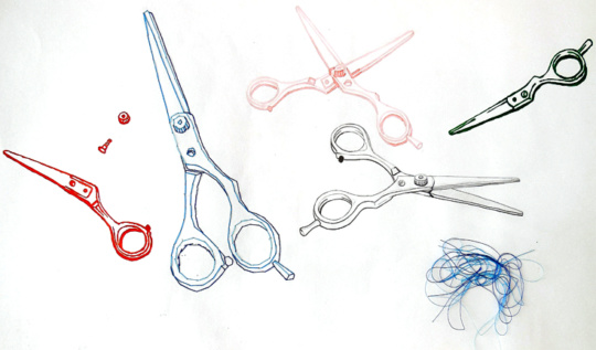 540x317 Drawing - Washington State Drawing