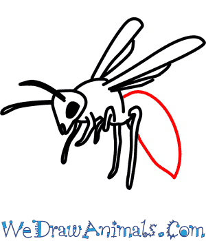 300x350 how to draw a wasp - Wasp Drawing