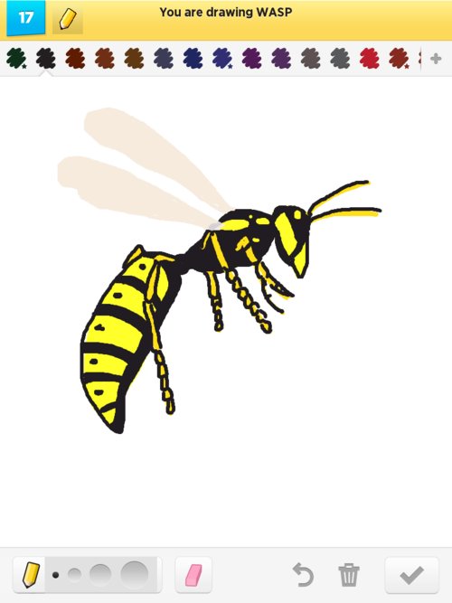 500x667 wasp drawings - Wasp Drawing