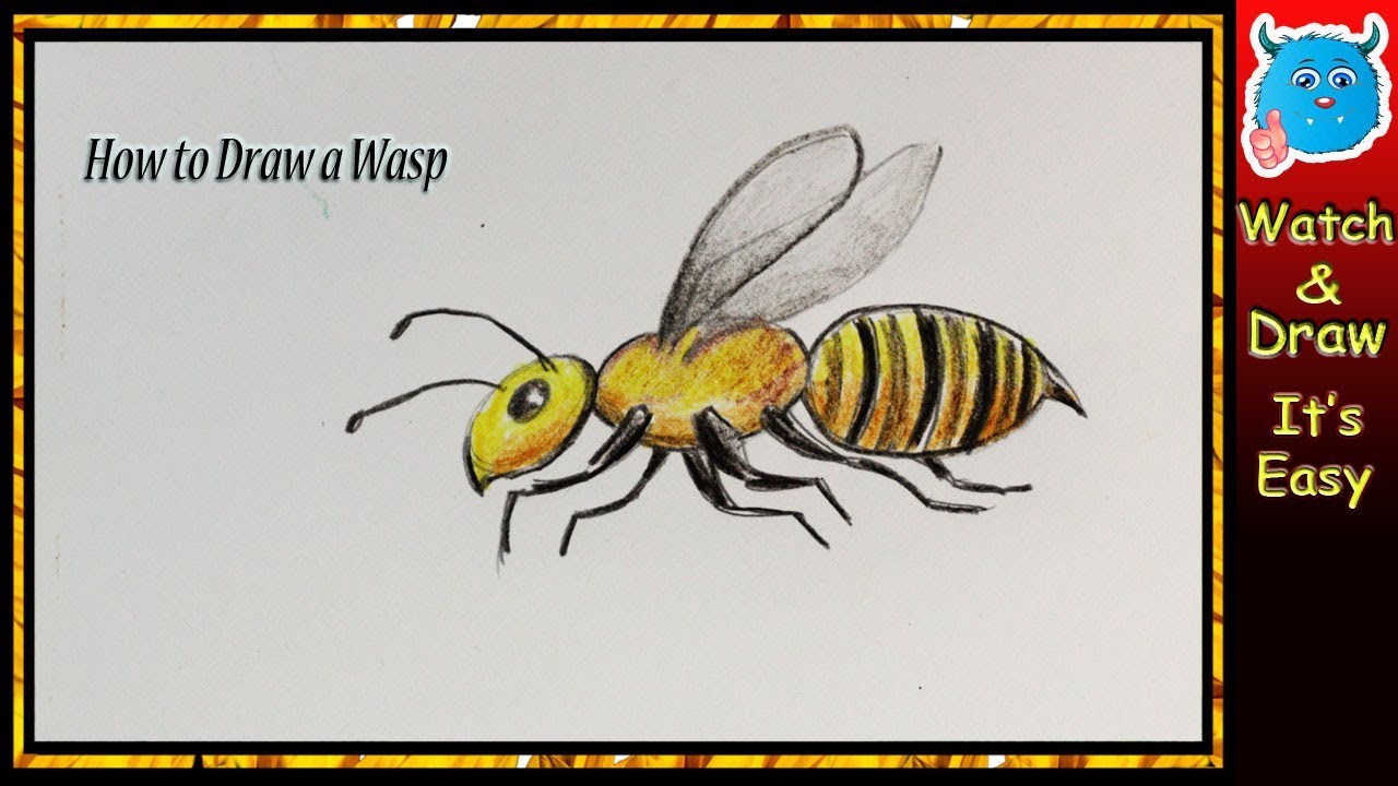 1280x720 how to draw a wasp easy drawing for beginners - Wasp Drawing