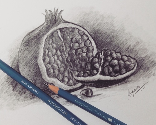 500x401 watch pomegranate drawing video!! watch the video and subscribe - Watch Pencil Drawing