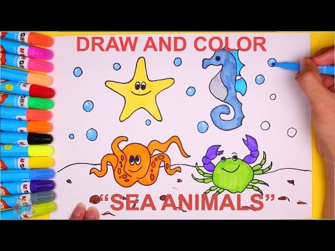 480x360 How To Draw And Color Sea Animals - Water Animals Drawing