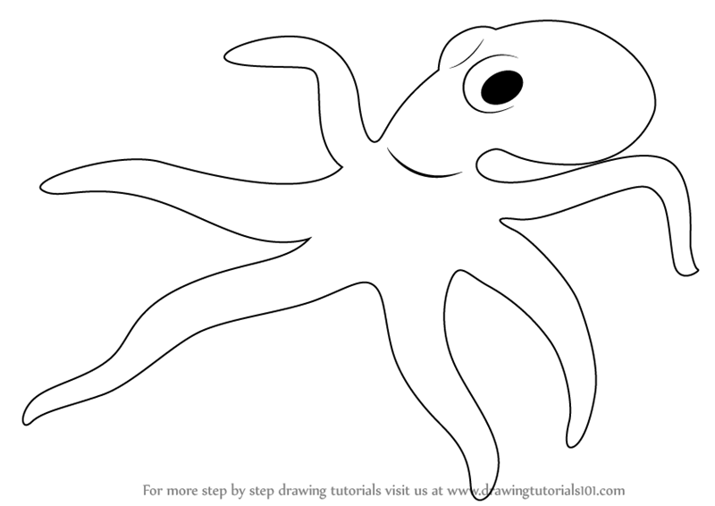 800x566 Learn How To Draw A Octopus - Water Animals Drawing