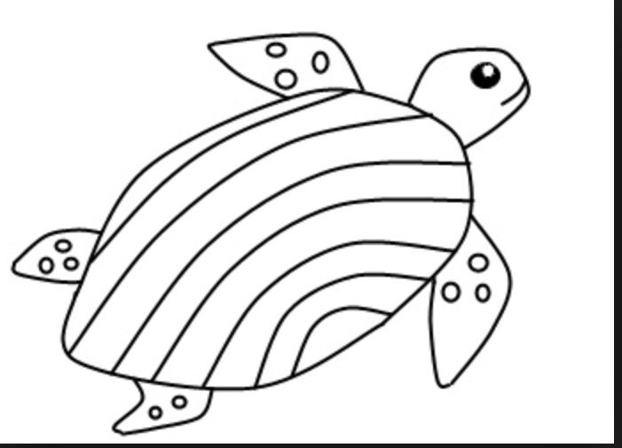 701x505 turtle you can even draw water drawing easy animal drawings - Water Animals Drawing
