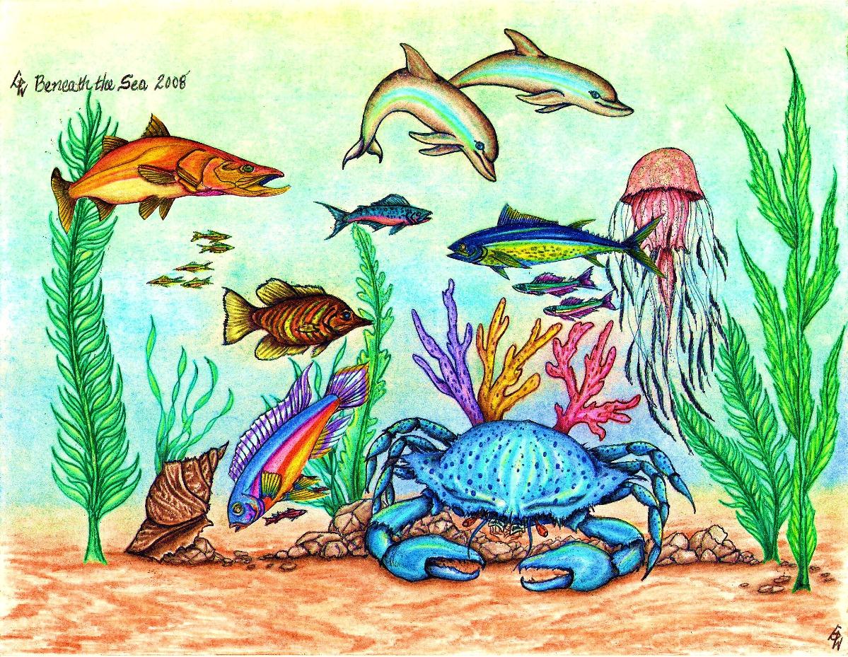 Water Animals Drawing at PaintingValley.com | Explore collection of