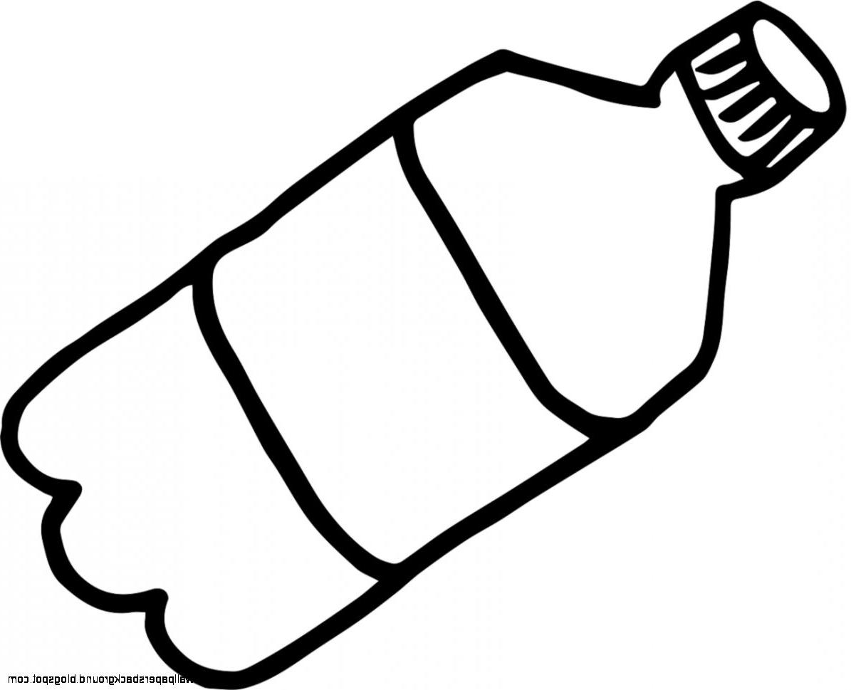 Water Bottle Drawing at Explore collection of