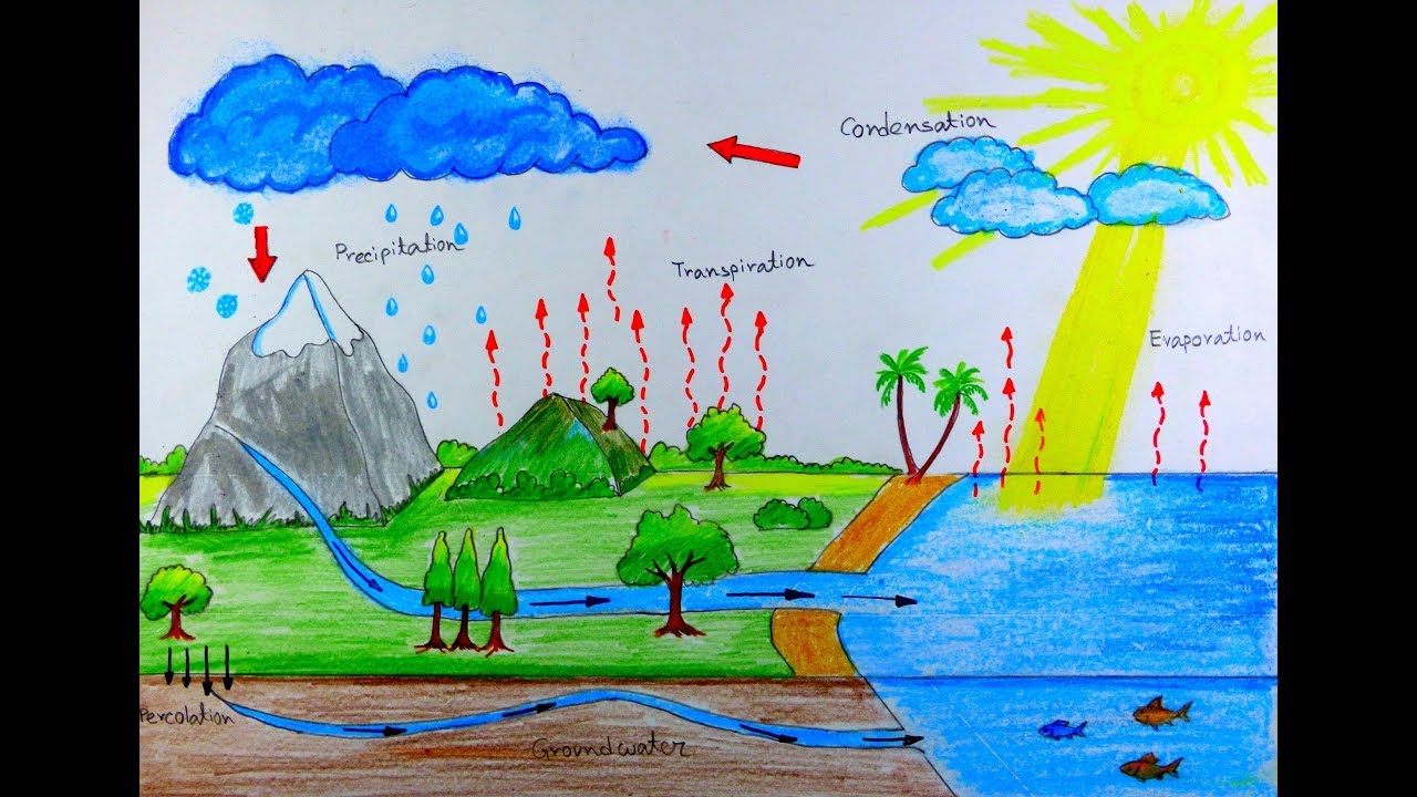Water Cycle Drawing at Explore collection of Water