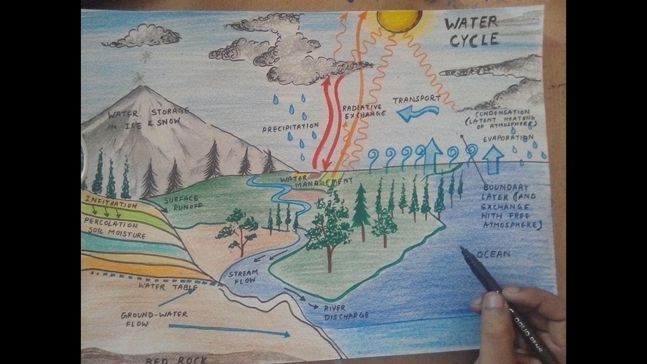 Water Cycle Drawing at PaintingValley.com | Explore collection of Water ...