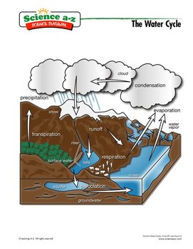 Water Cycle Drawing Assignment at PaintingValley.com | Explore ...