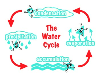 350x270 water cycle diagram worksheets teaching resources tpt - Water Cycle Drawing Assignment