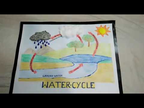 480x360 Water Cycle Project Tutorial - Water Cycle Drawing Assignment