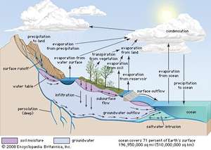 300x213 Water Cycle Definition, St Diagram, Facts - Water Cycle Drawing Assignment