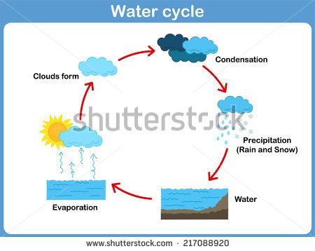 water cycle drawing assignment