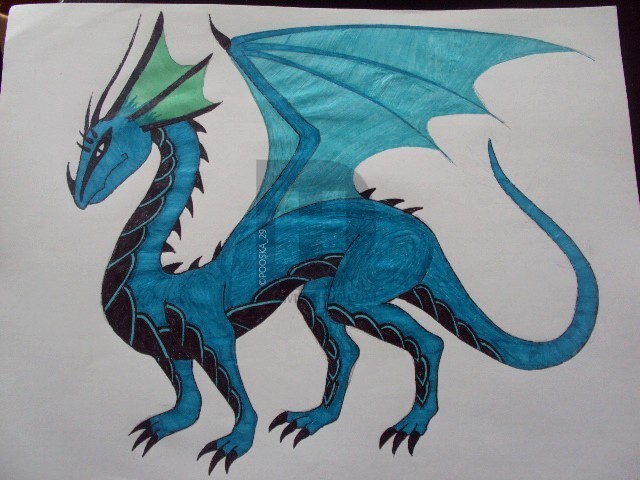 640x480 Water Dragon Drawing - Water Dragon Drawing