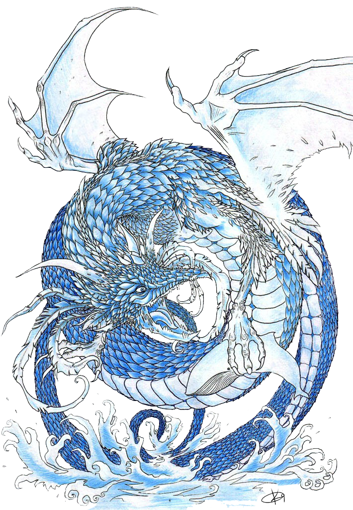 710x1024 water dragon with tribal and dolphin's tattoos dragon, dragon - Water Dragon Drawing