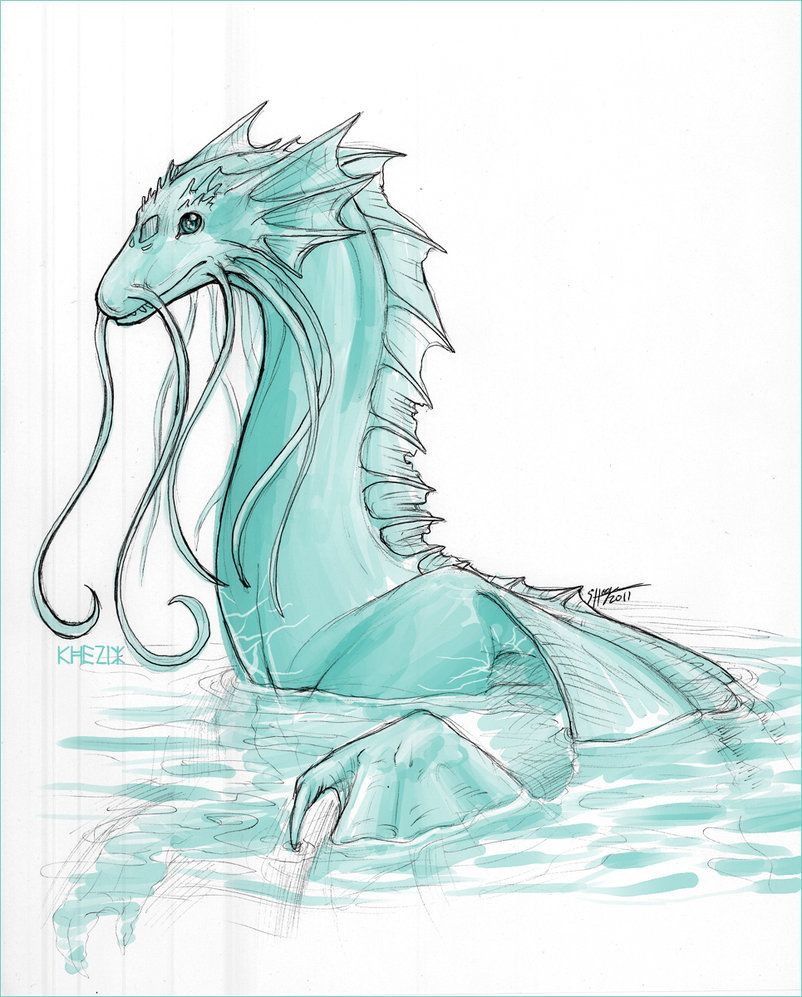 802x997 xmas sketch gift the water dragon - Water Dragon Drawing