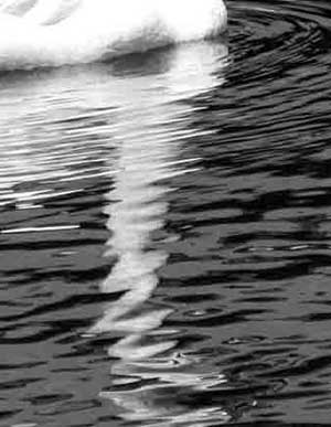 300x387 Drawing Water - Water Drawing