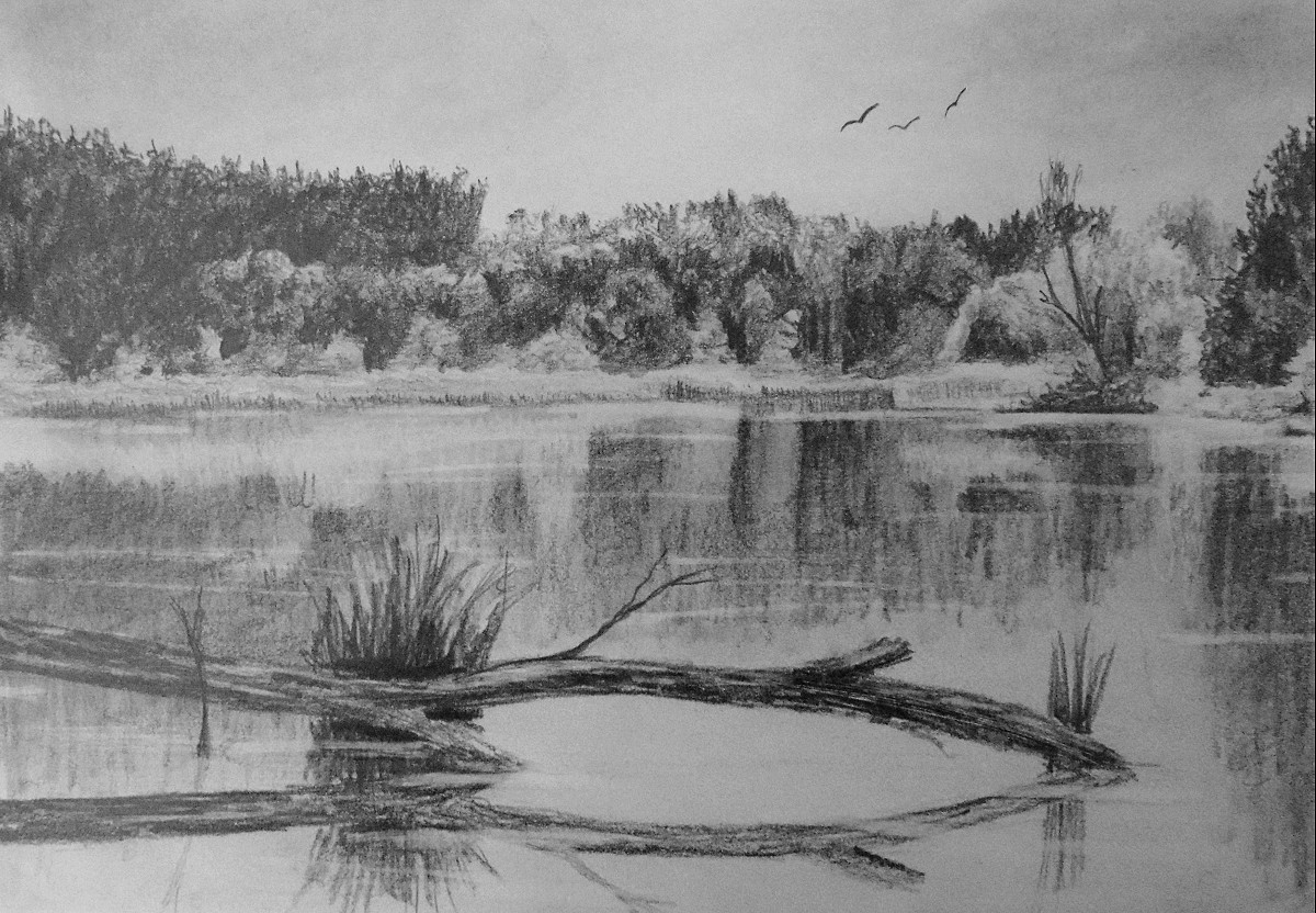 1200x832 how to draw reflective water online art lessons - Water Drawing