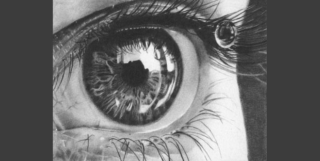 660x332 Realism Challenge Water Drop Roosevelt Drawing - Water Drop Pencil Drawing