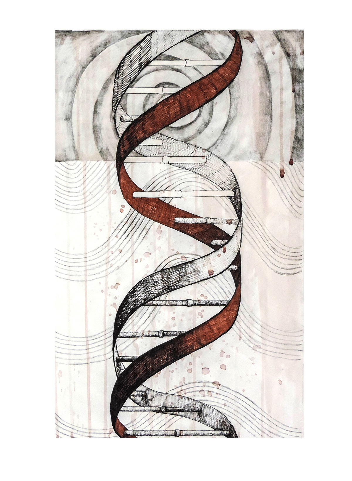 1200x1639 Large Drawings Ripple Effect On Behance - Water Effect Drawing