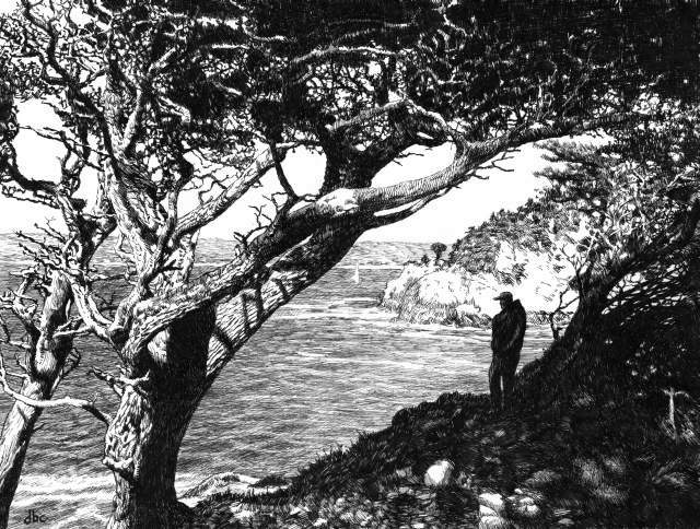 640x484 Ink Drawing Point Lobos Artwork - Water Ink Drawing