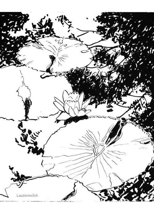 500x700 Water Lily Ink Drawing Greeting Card For Sale - Water Ink Drawing