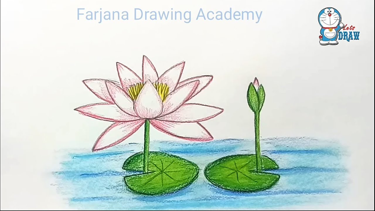 1280x720 how to draw water lily step - Water Lily Drawing