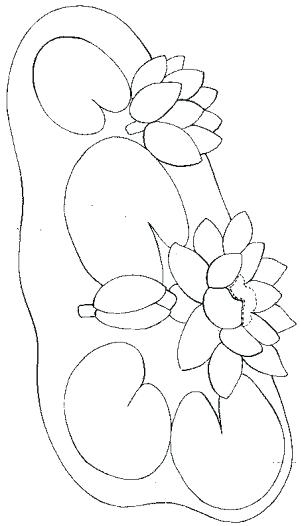 300x526 lily pad outline license personal use water coloring - Water Lily Drawing Outline